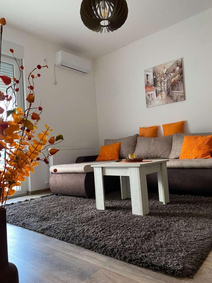 Apartmani Milic Banja Koviljaca Exterior photo